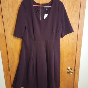 Lane Bryant Dress